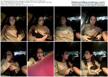 stripchat-pleasure_of_life-01-12-2025-17-38-36