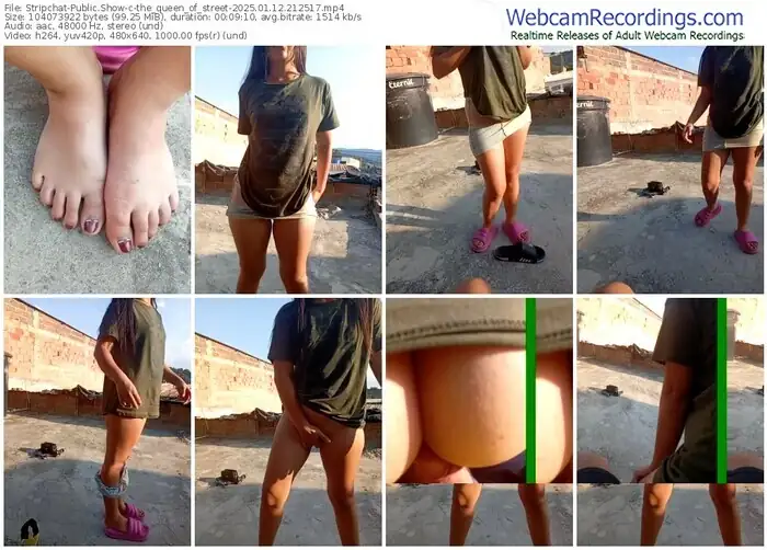 stripchat-the_queen_of_street-01-12-2025-21-25-17