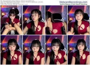 stripchat--meimei--01-12-2025-14-19-43