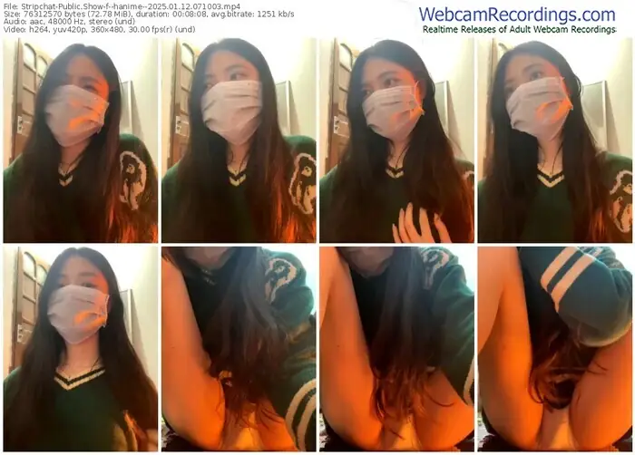 stripchat--hanime--01-12-2025-07-10-03