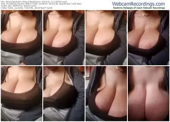 stripchat-boobshere--01-12-2025-12-05-59