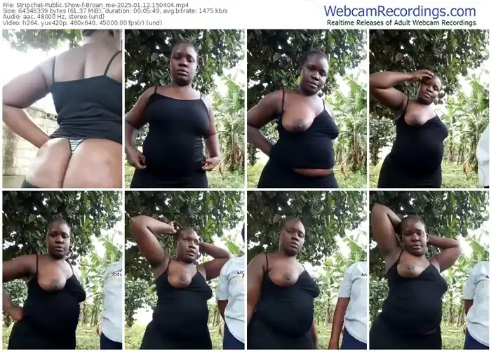 stripchat-broan_me-01-12-2025-15-04-04