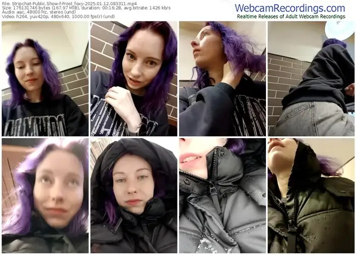 stripchat-frost_foxy-01-12-2025-08-33-11