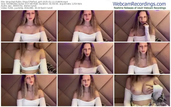 stripchat-perfect_girll-01-12-2025-15-48-36