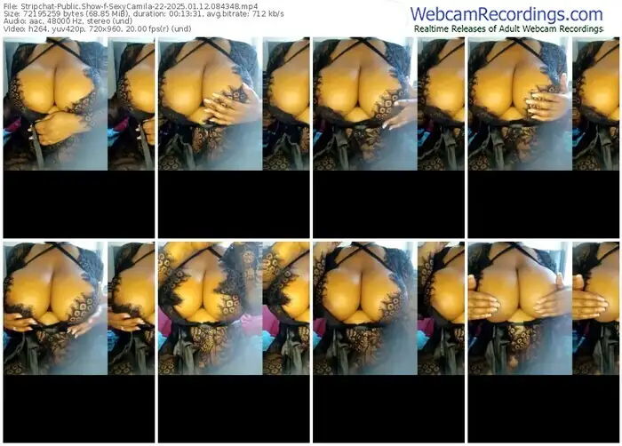 stripchat-sexycamila-22-01-12-2025-08-43-48