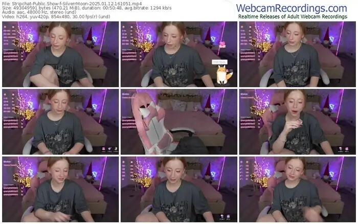 stripchat-silverrmoon-01-12-2025-16-10-51