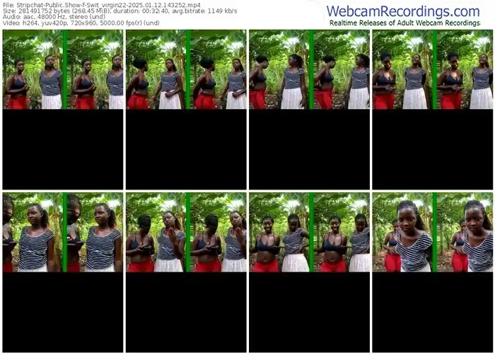 stripchat-swit_virgin22-01-12-2025-14-32-52