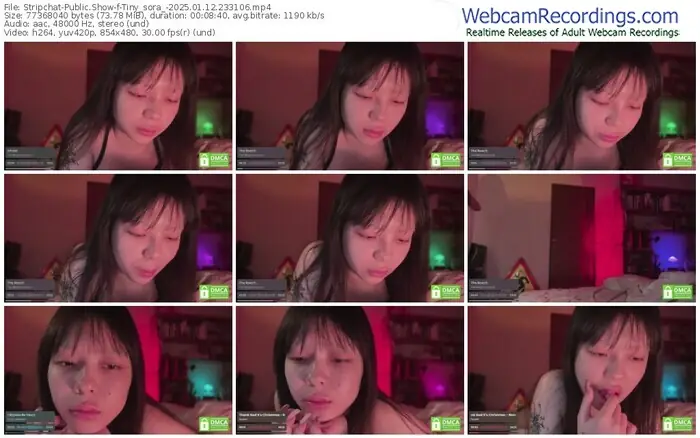 stripchat-tiny_sora_-01-12-2025-23-31-06