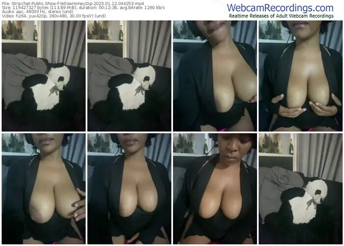 stripchat-yellowhoneydip-01-12-2025-04-42-53