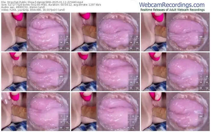 stripchat-danigirl866-01-12-2025-21-54-40