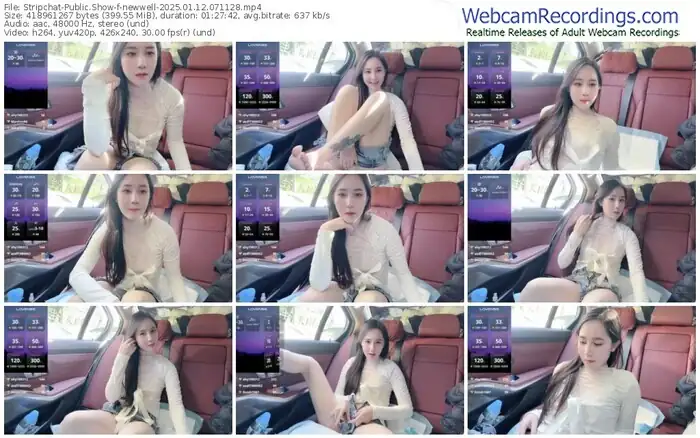 stripchat-newwell-01-12-2025-07-11-28