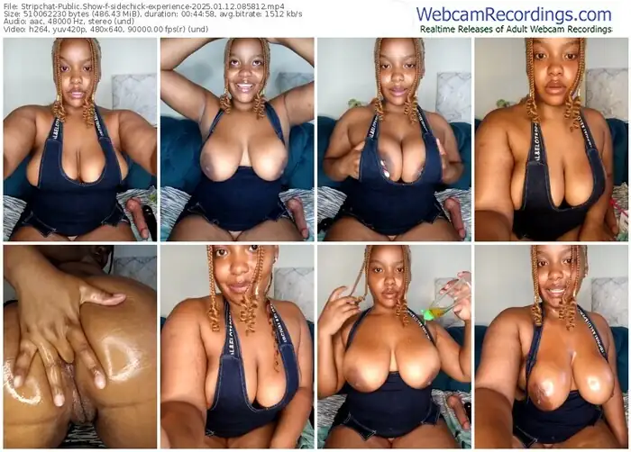 stripchat-sidechick-experience-01-12-2025-08-58-12