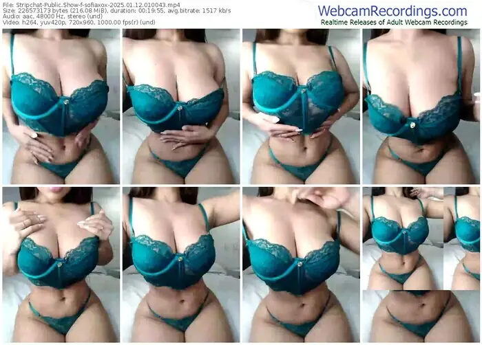 stripchat-sofiaxox-01-12-2025-01-00-43