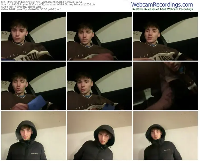 stripchat-vixi_wichsen-01-12-2025-19-24-11