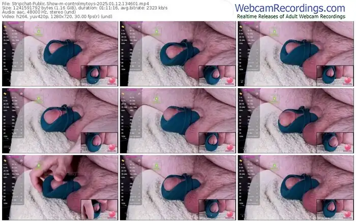 stripchat-controlmytoys-01-12-2025-13-46-01