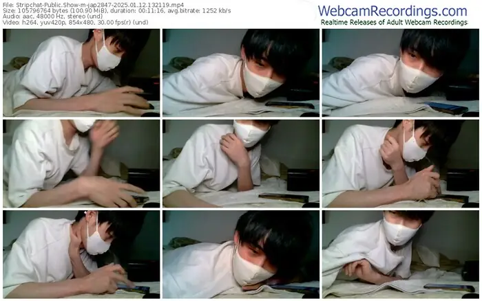 stripchat-jap2847-01-12-2025-13-21-19