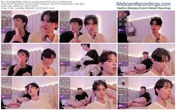 stripchat-sweet_beom-01-12-2025-19-28-18