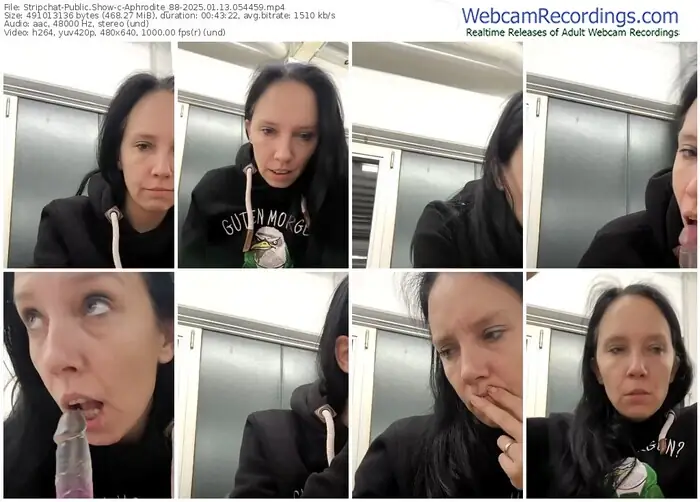 stripchat-aphrodite_88-01-13-2025-05-44-59