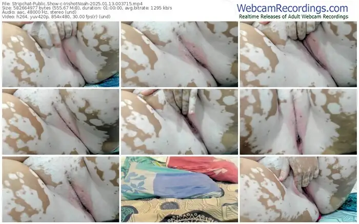 stripchat-irishotnoah-01-13-2025-00-37-15