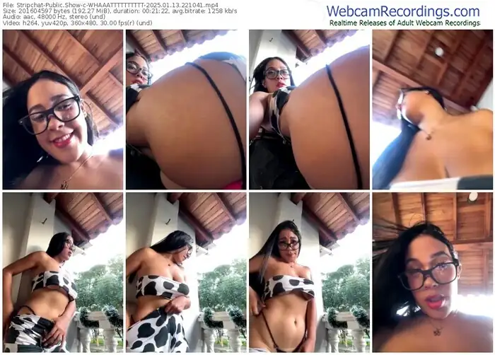 stripchat-whaaatttttttttt-01-13-2025-22-10-41