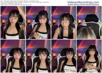 stripchat--meimei--01-13-2025-14-24-11