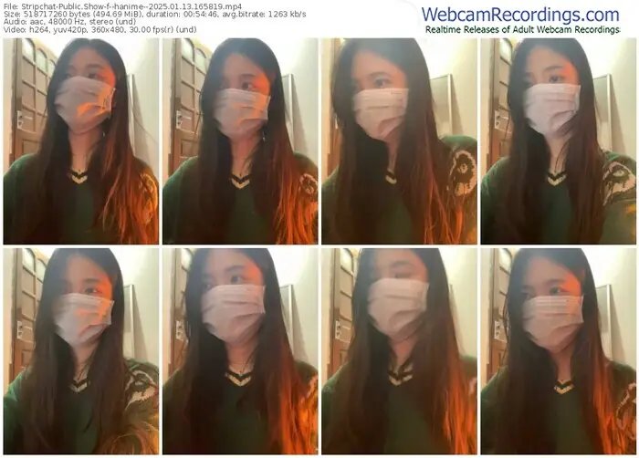 stripchat--hanime--01-13-2025-16-58-19