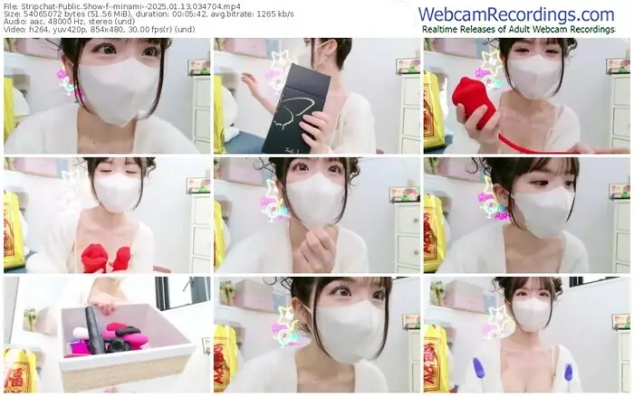 stripchat--minami--01-13-2025-03-47-04
