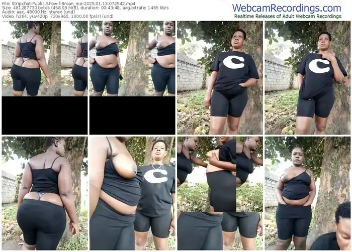 stripchat-broan_me-01-13-2025-07-25-42