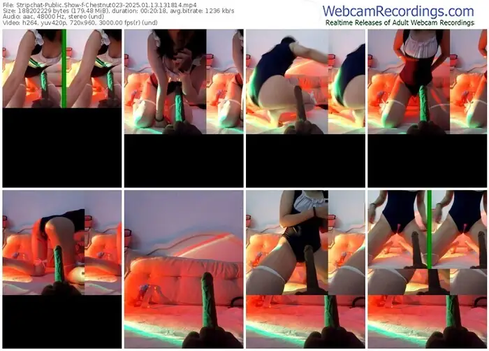 stripchat-chestnut023-01-13-2025-13-18-14