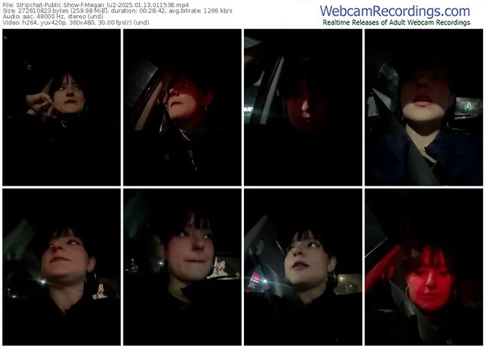stripchat-megan_lu2-01-13-2025-01-15-38