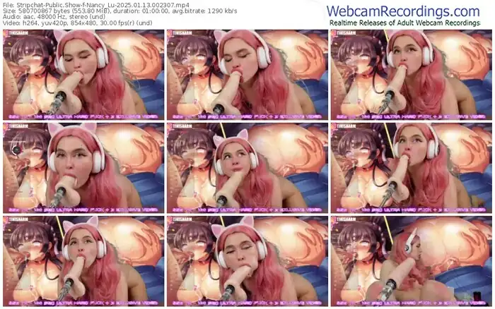 stripchat-nancy_lu-01-13-2025-00-23-07