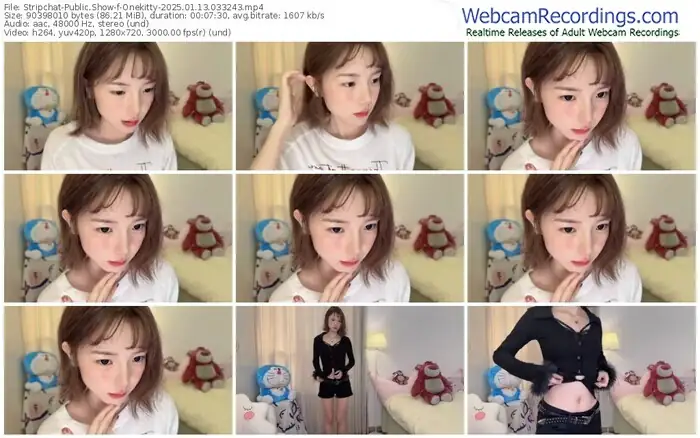 stripchat-onekitty-01-13-2025-03-32-43