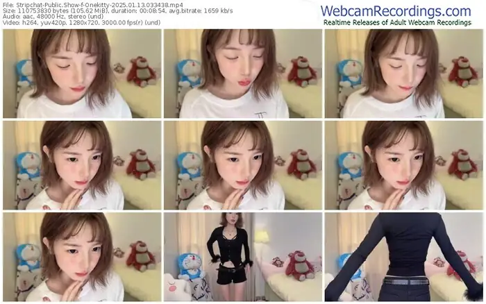 stripchat-onekitty-01-13-2025-03-34-38
