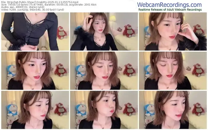 stripchat-onekitty-01-13-2025-05-57-52