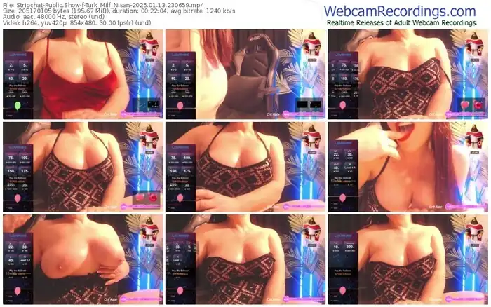 stripchat-turk_milf_nisan-01-13-2025-23-06-59