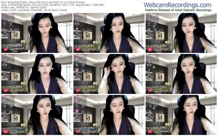 stripchat-w-e-n-123-01-13-2025-03-13-13