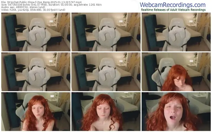 stripchat-zoe_bang-01-13-2025-01-57-47