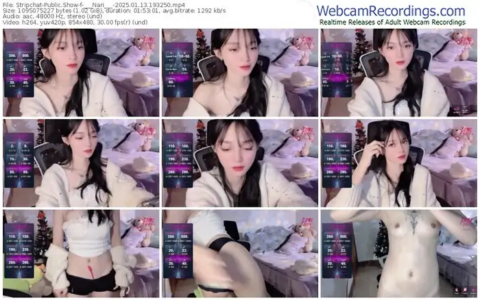 stripchat-___nari___-01-13-2025-19-32-50