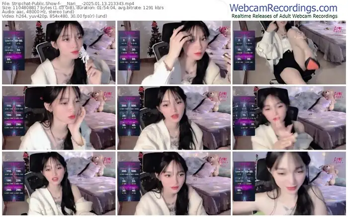 stripchat-___nari___-01-13-2025-21-33-43