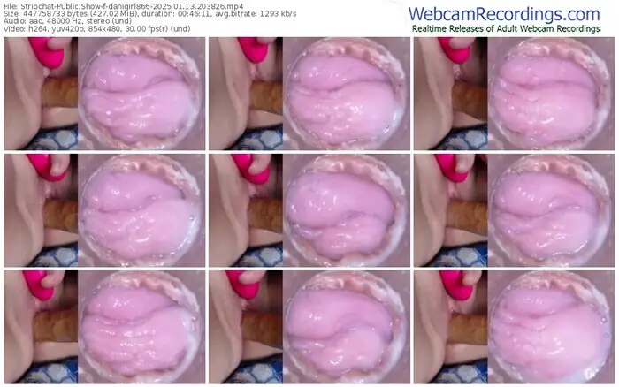 stripchat-danigirl866-01-13-2025-20-38-26