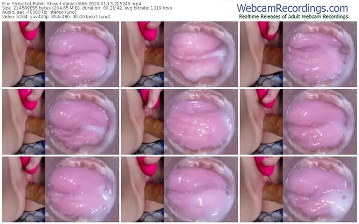 stripchat-danigirl866-01-13-2025-21-52-49