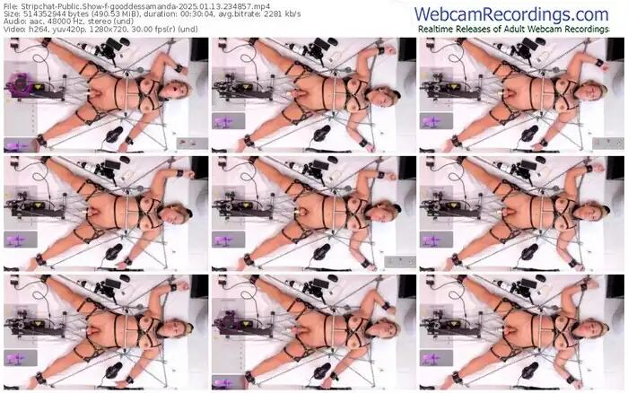 stripchat-gooddessamanda-01-13-2025-23-48-57
