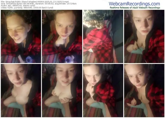 stripchat-shadow199393-01-13-2025-23-25-13