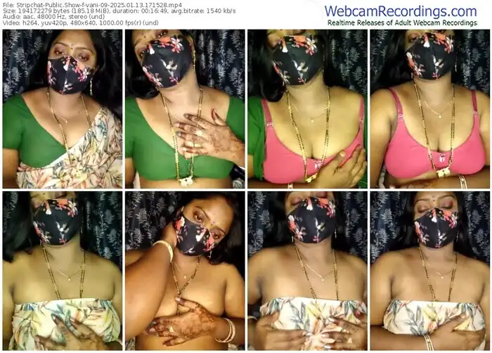 stripchat-vani-09-01-13-2025-17-15-28