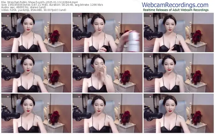 stripchat-vyizh--01-13-2025-16-39-44