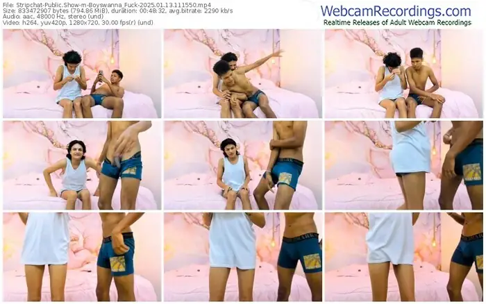 stripchat-boyswanna_fuck-01-13-2025-11-15-50