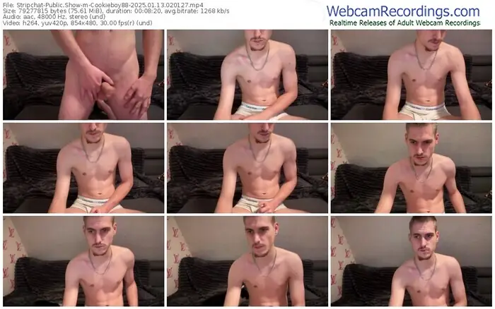 stripchat-cookieboy88-01-13-2025-02-01-27