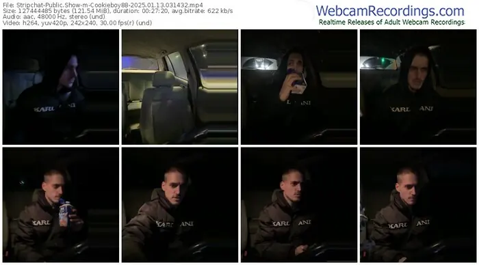 stripchat-cookieboy88-01-13-2025-03-14-32