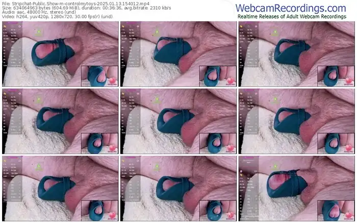stripchat-controlmytoys-01-13-2025-15-40-12