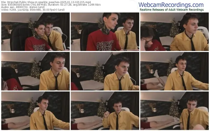 stripchat-sparkle_peaches-01-13-2025-02-12-15